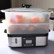 Digital steam cooker XJ-10107