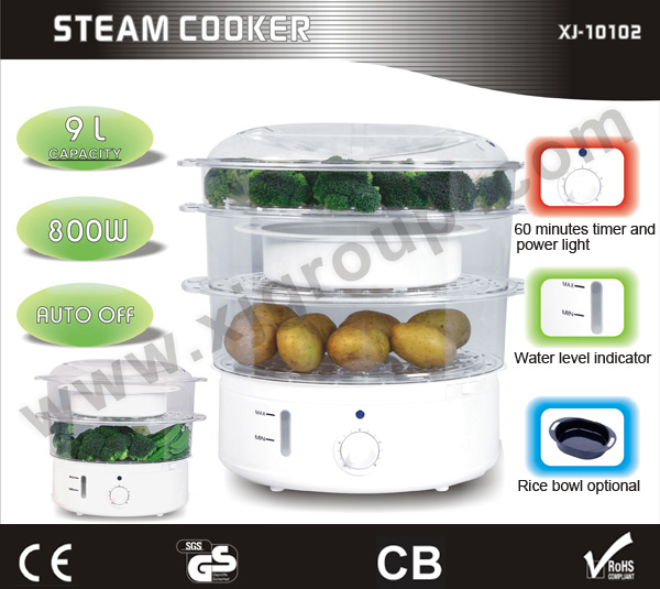newest electric steam cooker
