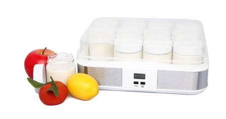 digital yoghurt maker XJ-11101BO