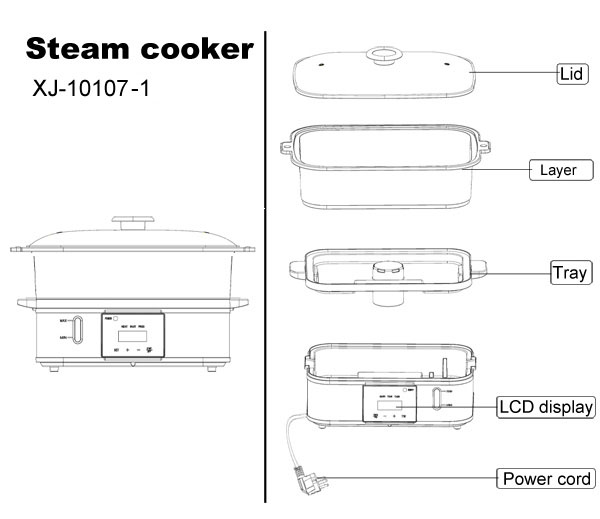 digital steam cooker