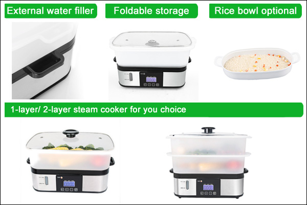 digital steam cooker