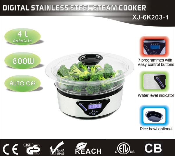 steam cooker XJ-6K203-1